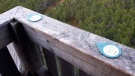 foto - Lovrenska barja - animacija (19)